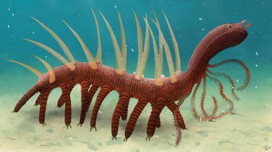 怪诞虫概念车.怪诞虫本体？-第1张图片