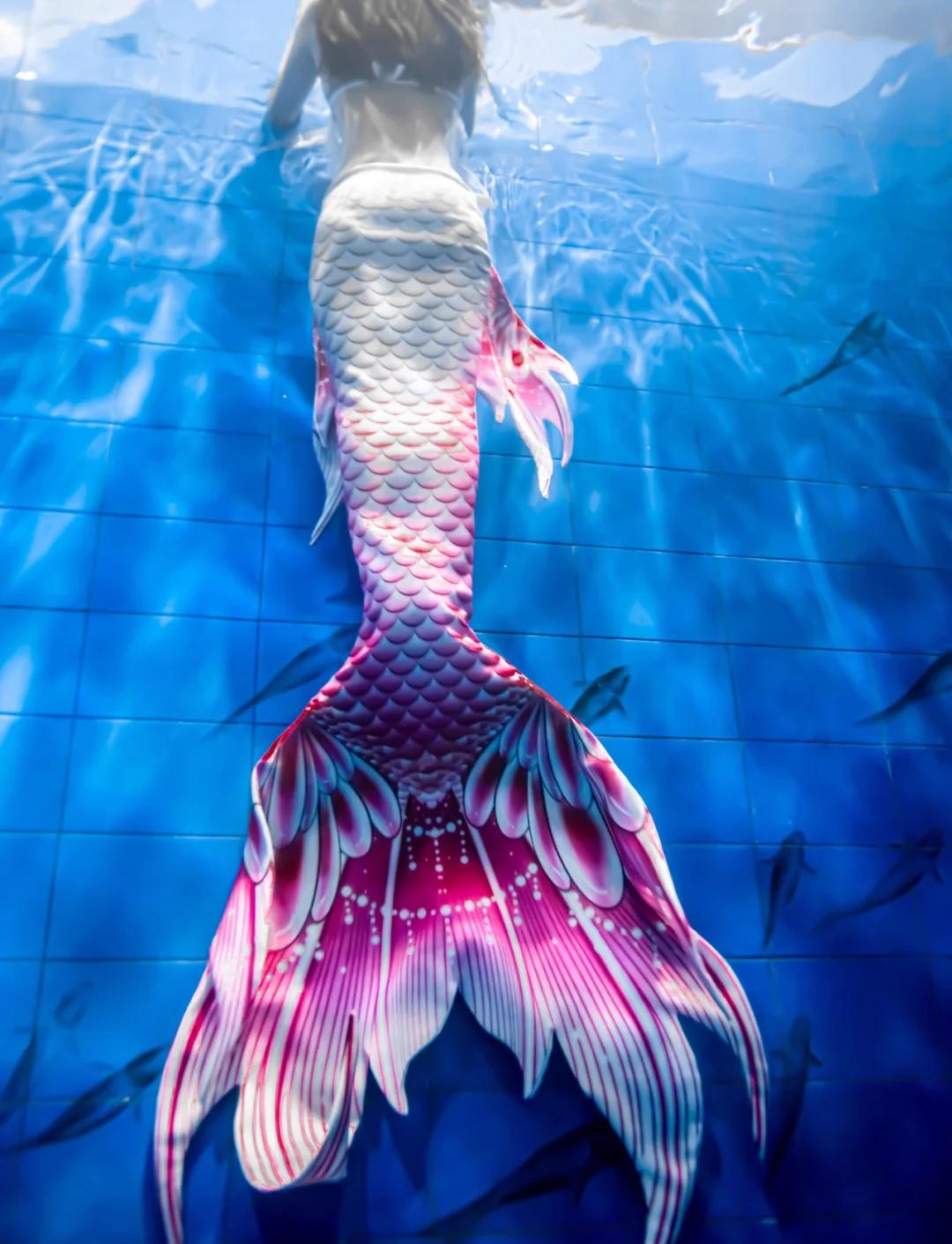 世界上美人鱼真的存在吗.世界上美人鱼真的存在吗图片?-第3张图片