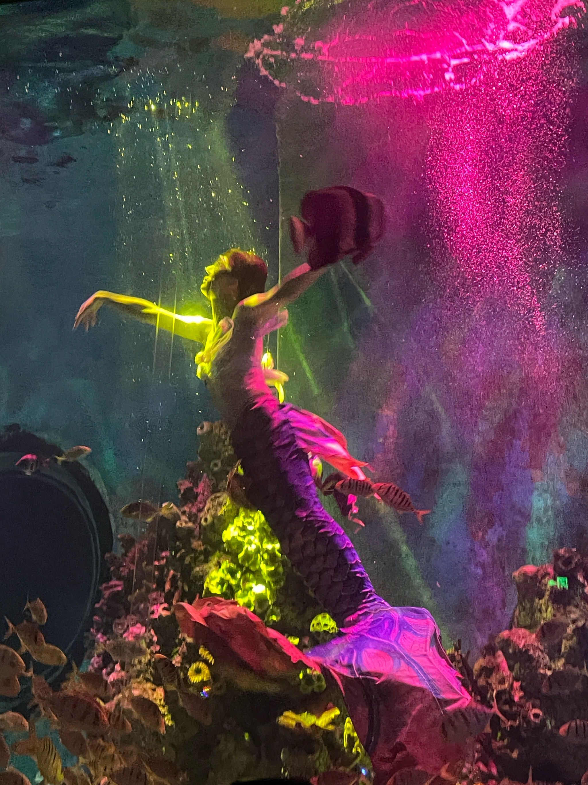 世界上美人鱼真的存在吗.世界上美人鱼真的存在吗图片?-第2张图片