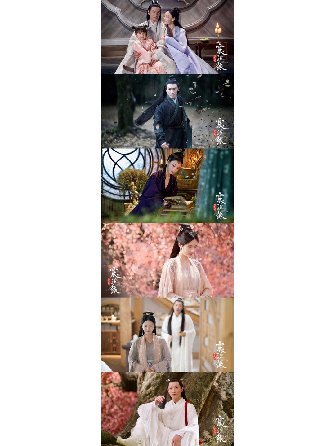 大陆连续剧排名/大陆剧排名-第1张图片