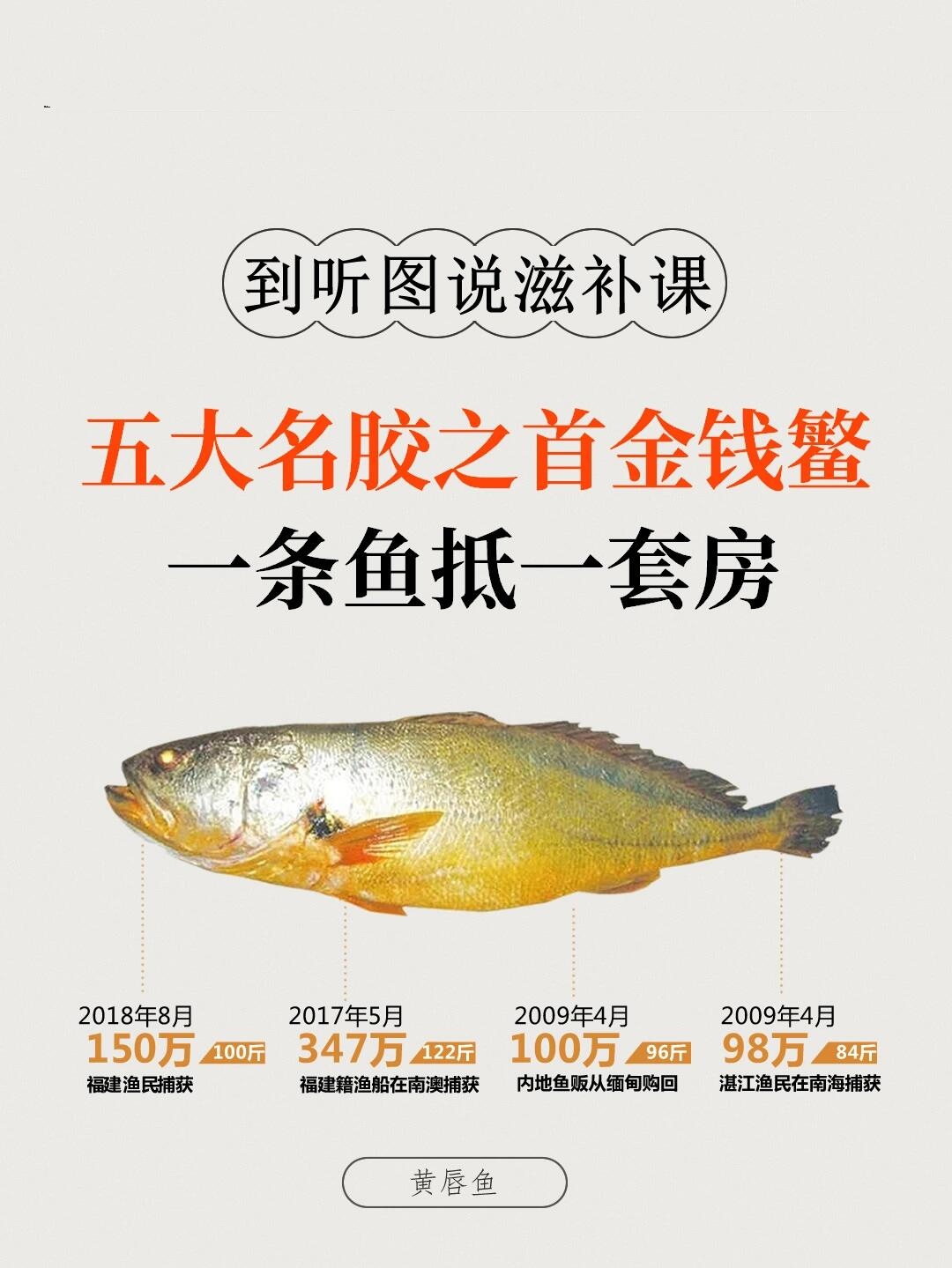 【金钱鱼的功效与作用,金钱鱼图片】-第1张图片