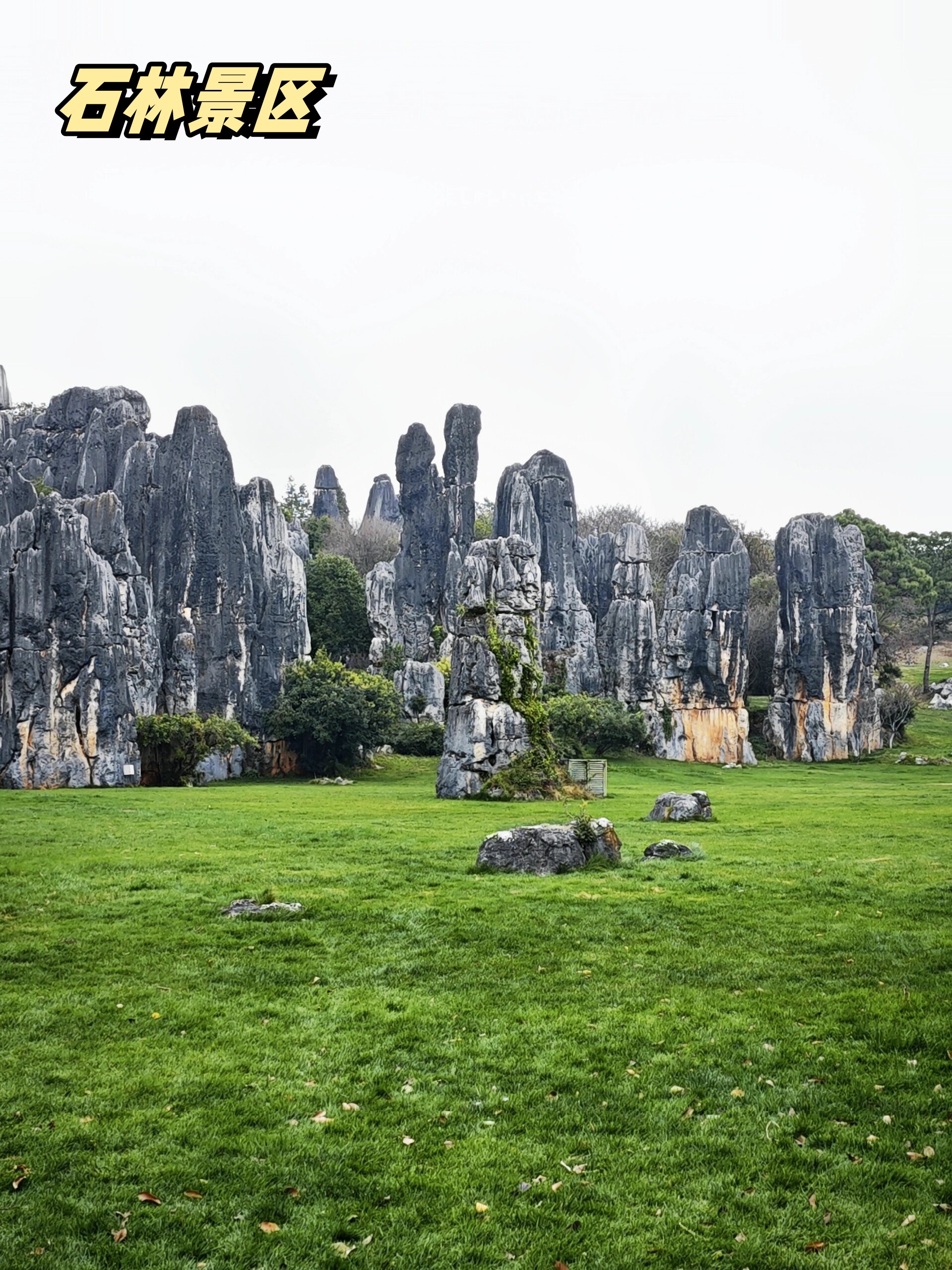 【云南旅游攻略自由行,云南旅游攻略自由行最佳时间】-第3张图片