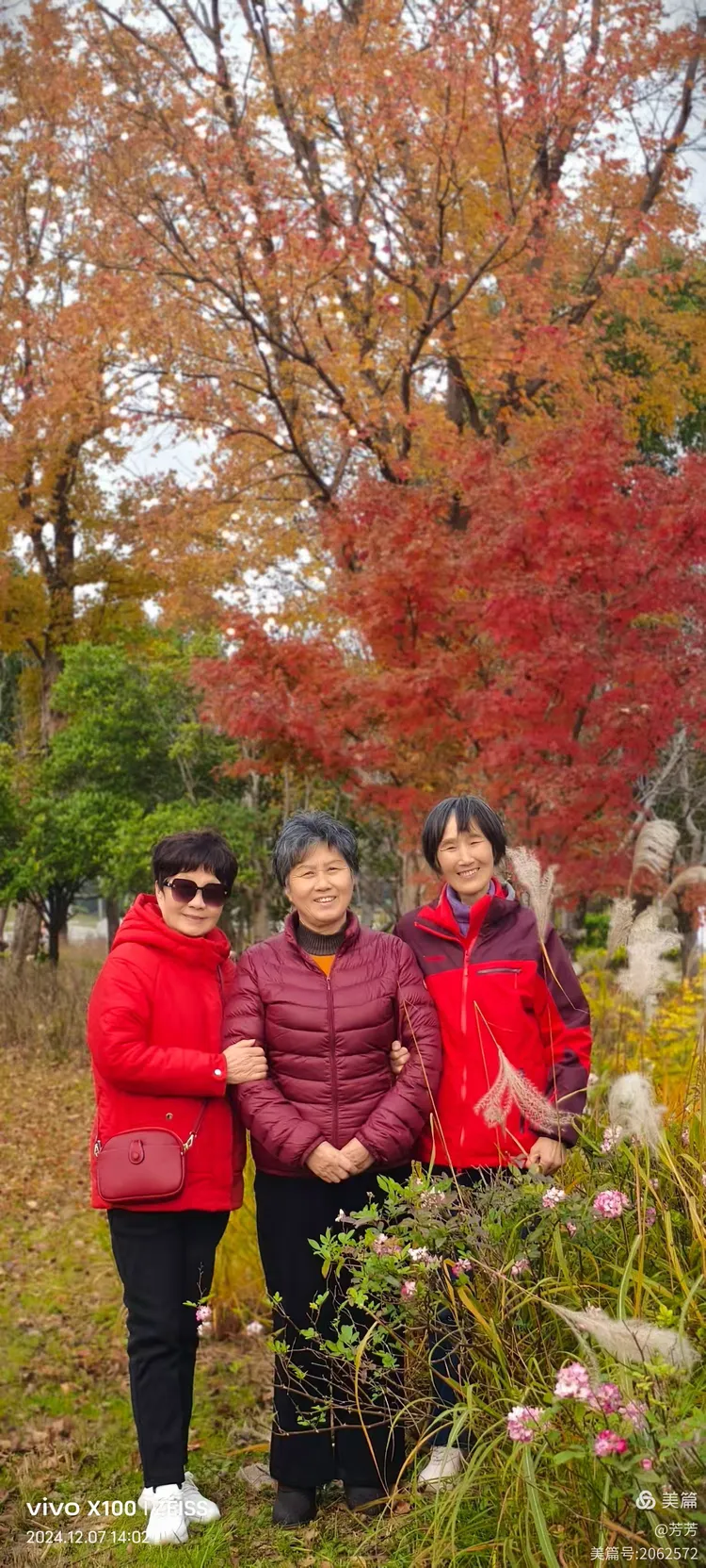 上海崇明岛二日游.上海崇明岛两日游？-第1张图片